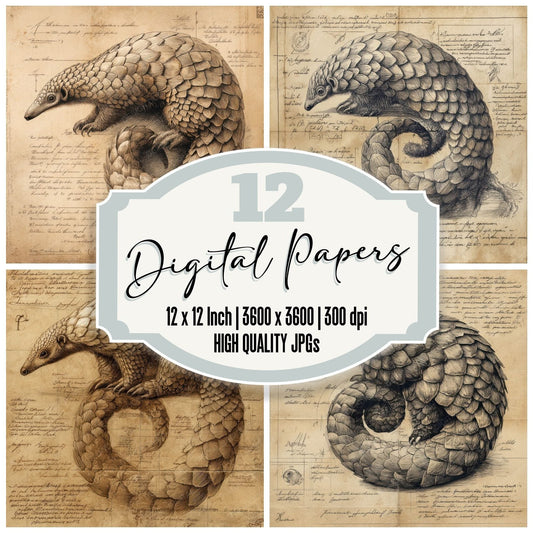 Sketch Pangolin Scale Sheet Digital Paper Pack (DDD003631)