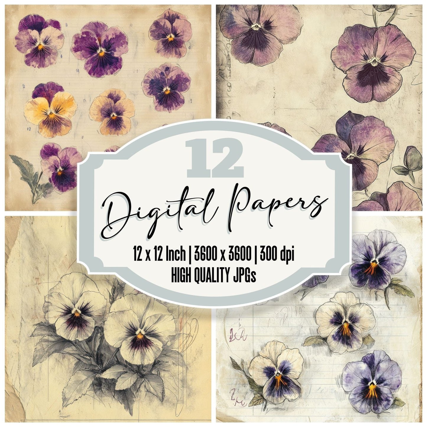 Sketch Pansy Notepad Digital Paper Pack (DDD003632)