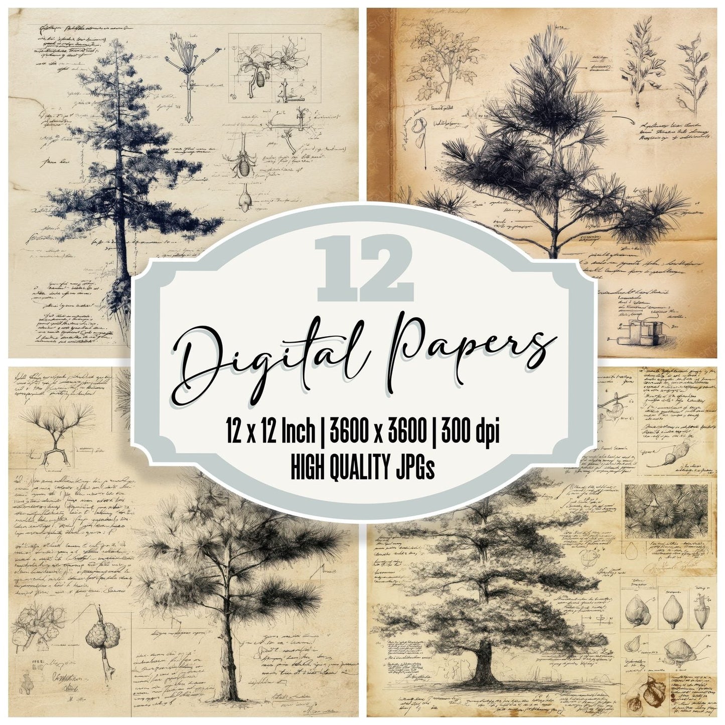 Sketch Pine Tree Needles Digital Paper Pack (DDD003637)