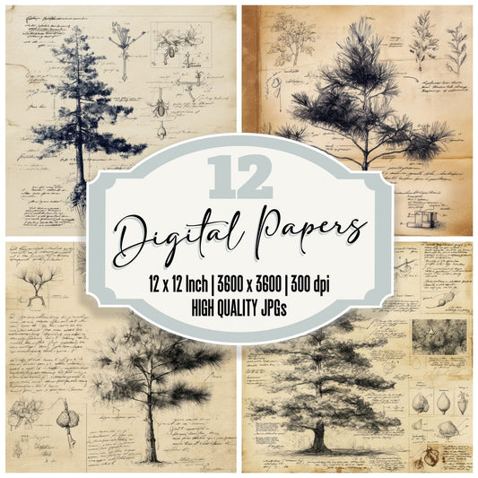 Sketch Pine Tree Needles Digital Paper Pack (DDD003637)