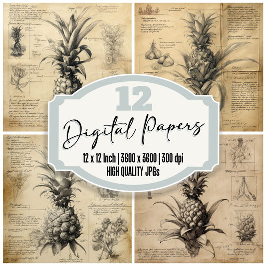 Sketch Pineapple Crown Leaves Digital Paper Pack (DDD003638)