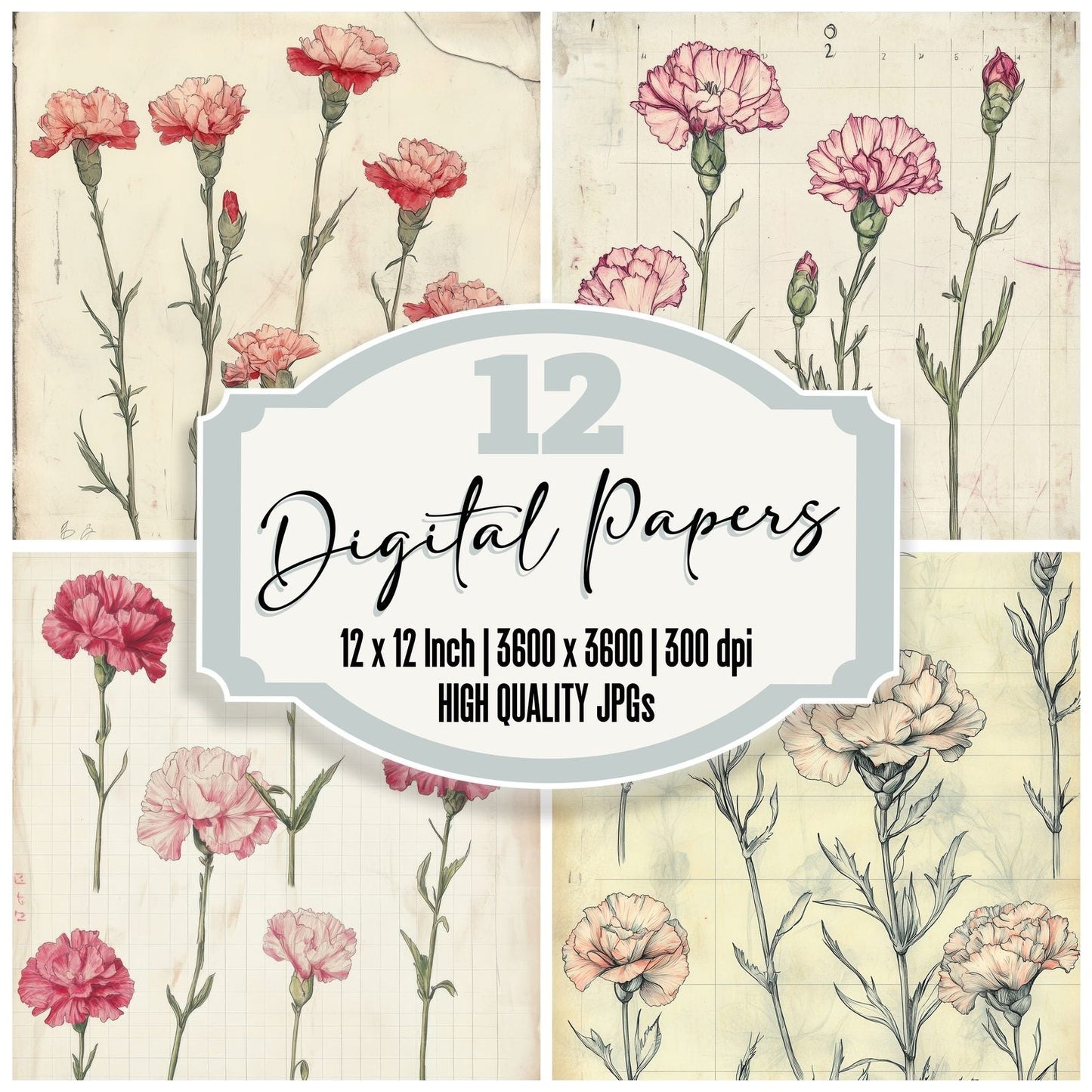 Sketch Pink Carnation Notepad Digital Paper Pack (DDD003639)