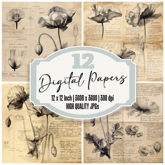 Sketch Poppy Petals Detail Digital Paper Pack (DDD003645)