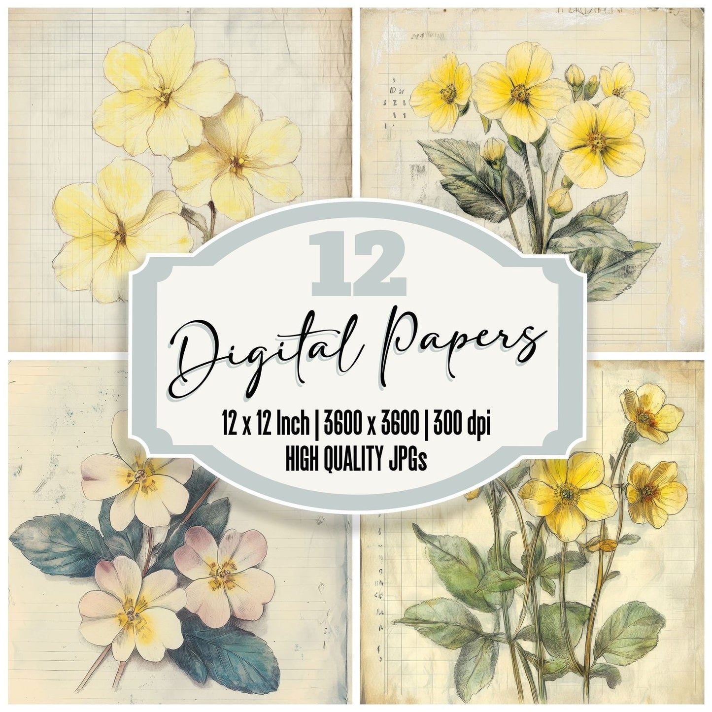 Sketch Primrose Notepad Digital Paper Pack (DDD003646)