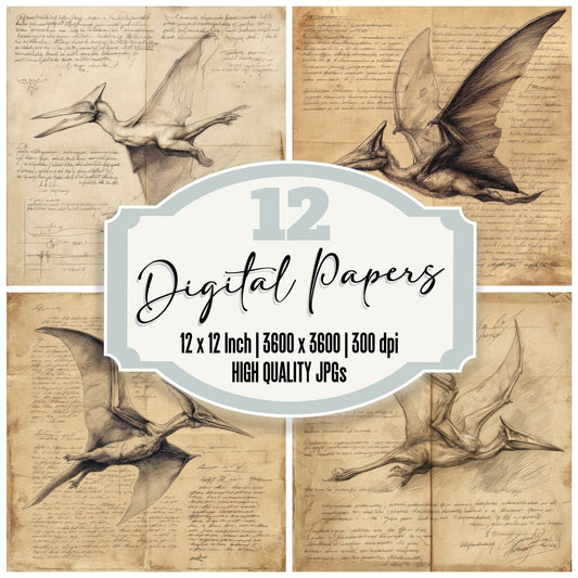 Sketch Pteranodon Sky Chart Digital Paper Pack (DDD003647)