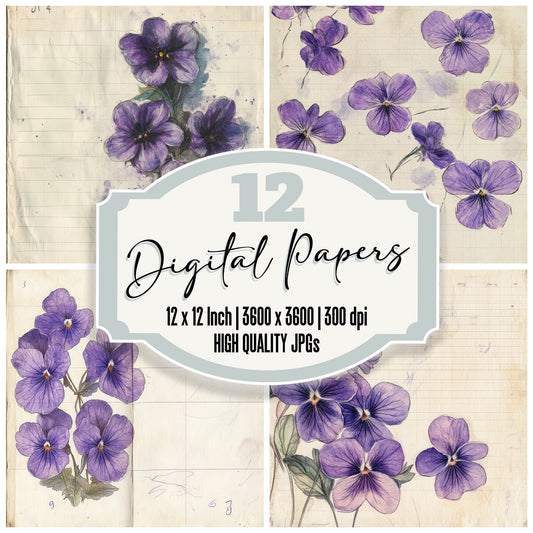 Sketch Purple Violet Notepad Digital Paper Pack (DDD003648)