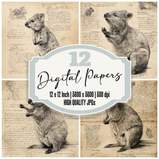 Sketch Quokka Island Form Digital Paper Pack (DDD003650)