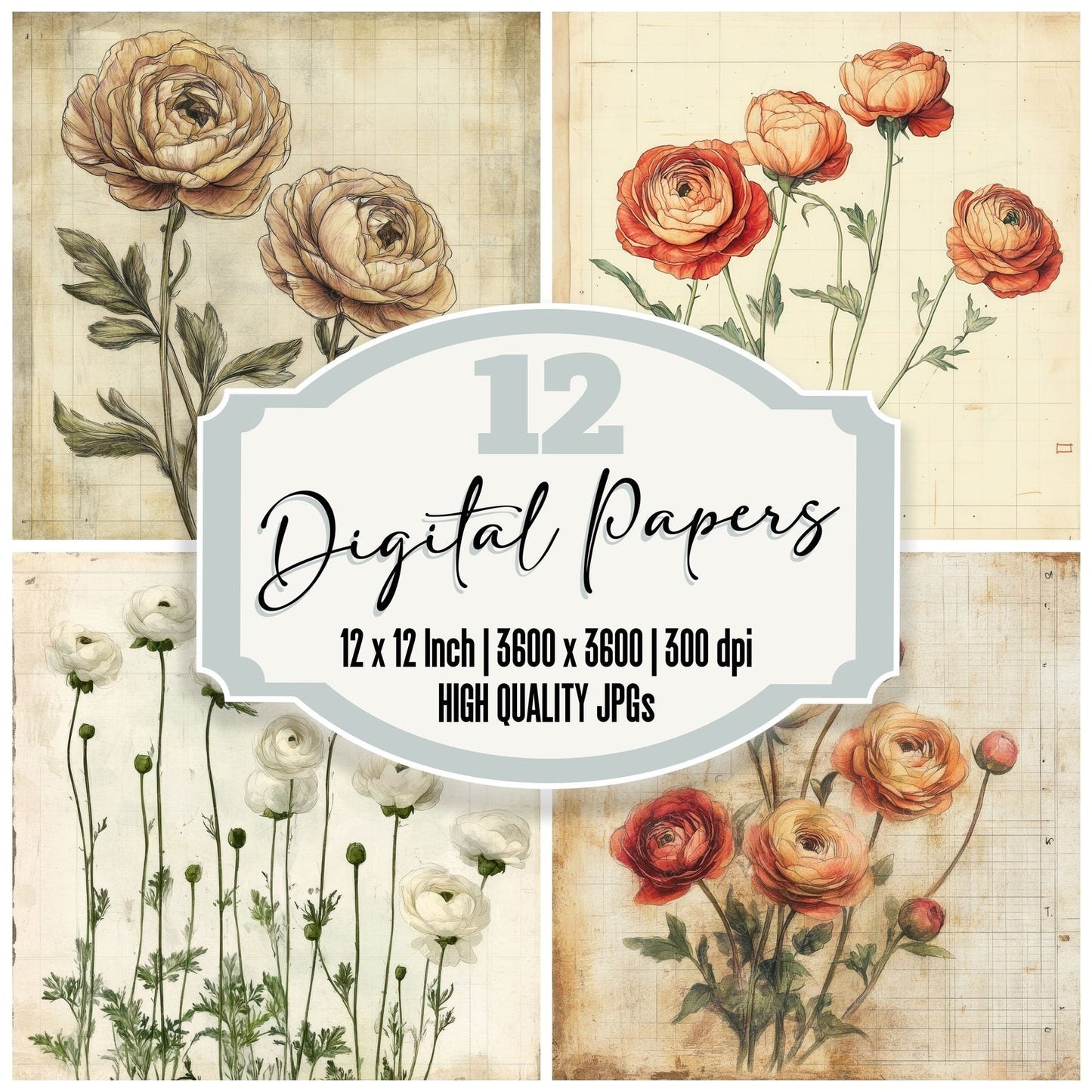 Sketch Ranunculus Notepad Digital Paper Pack (DDD003651)