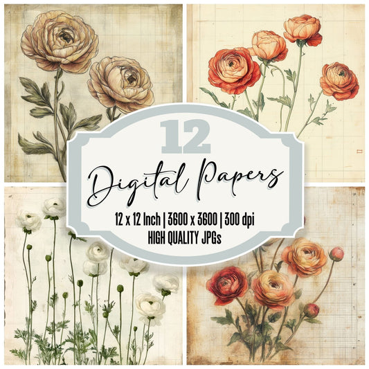 Sketch Ranunculus Notepad Digital Paper Pack (DDD003651)