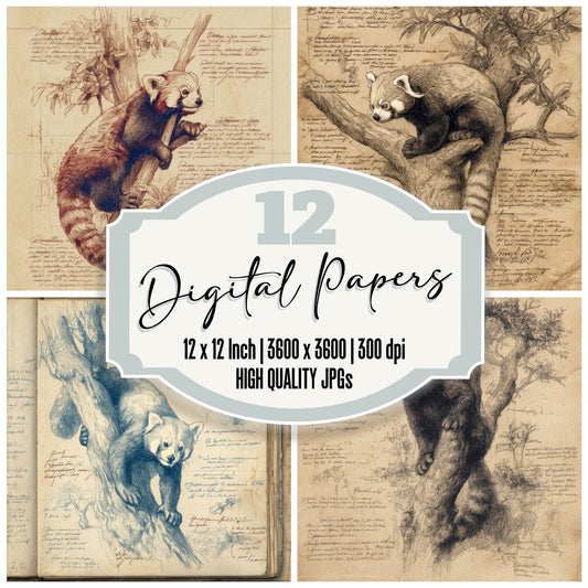 Sketch Red Panda Climb Digital Paper Pack (DDD003654)