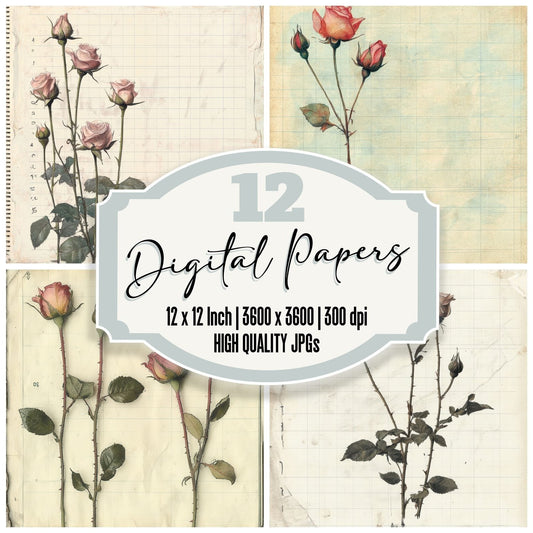 Sketch Rose Colour Digital Paper Pack (DDD003657)