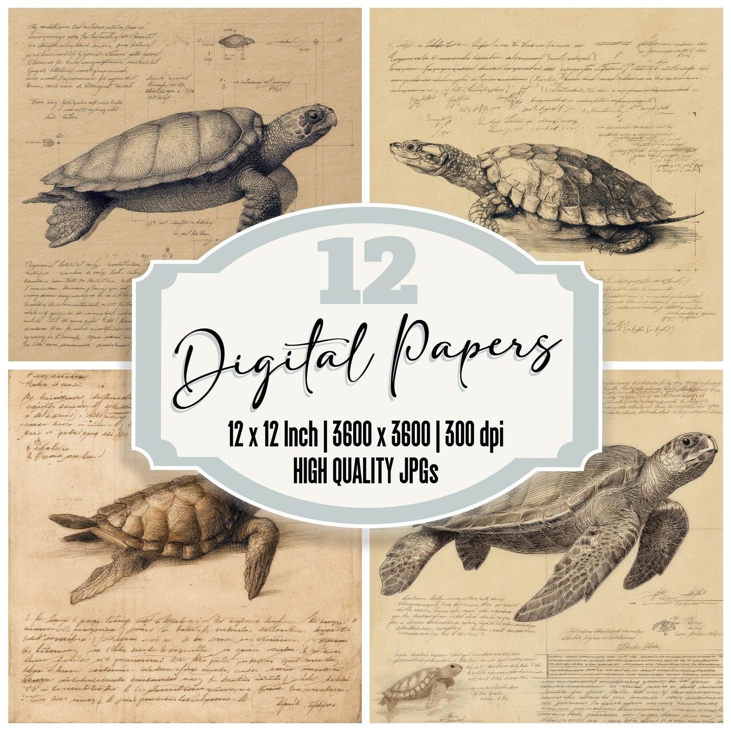 Sketch Sea Turtle Plate Digital Paper Pack (DDD003660)