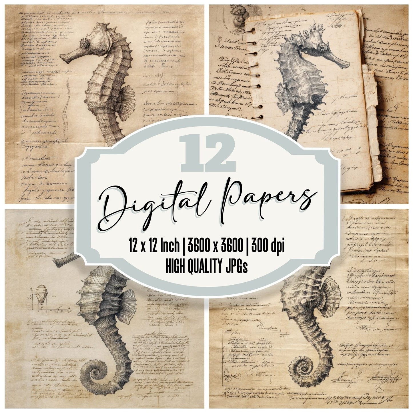 Sketch Seahorse Marine Sheet Digital Paper Pack (DDD003661)