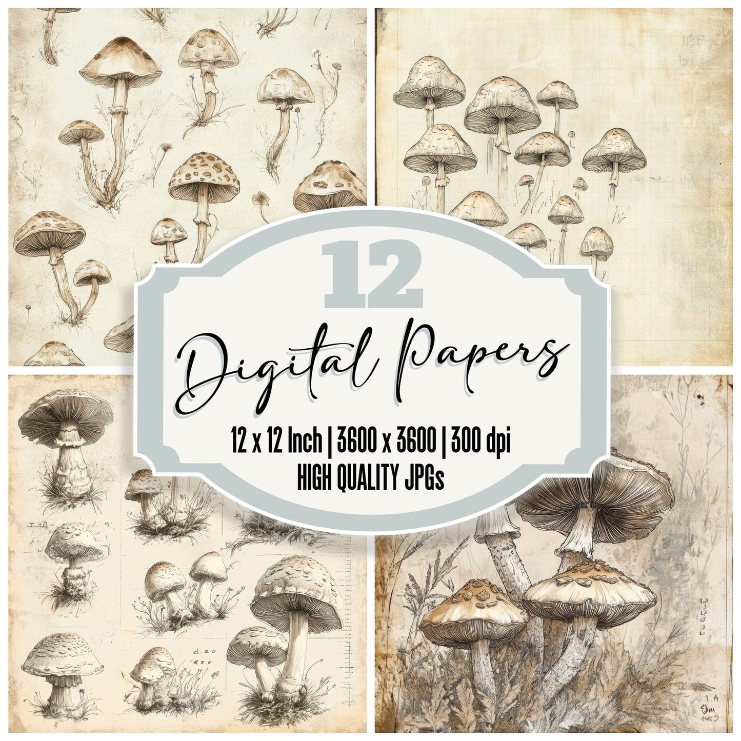 Sketch Shaggy Inkcap Notepad Digital Paper Pack (DDD003663)