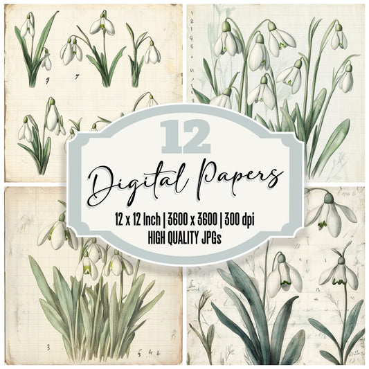 Sketch Snowdrop Notepad Digital Paper Pack (DDD003666)