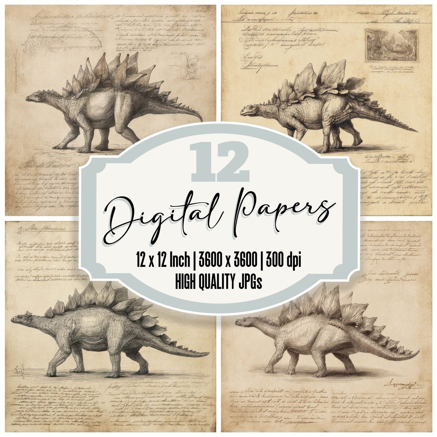 Sketch Stegosaurus Side Study Digital Paper Pack (DDD003668)