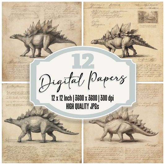 Sketch Stegosaurus Side Study Digital Paper Pack (DDD003668)