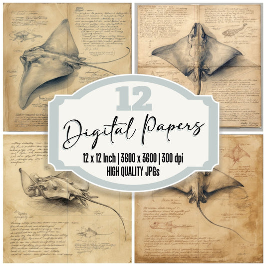 Sketch Stingray Diagram Digital Paper Pack (DDD003669)