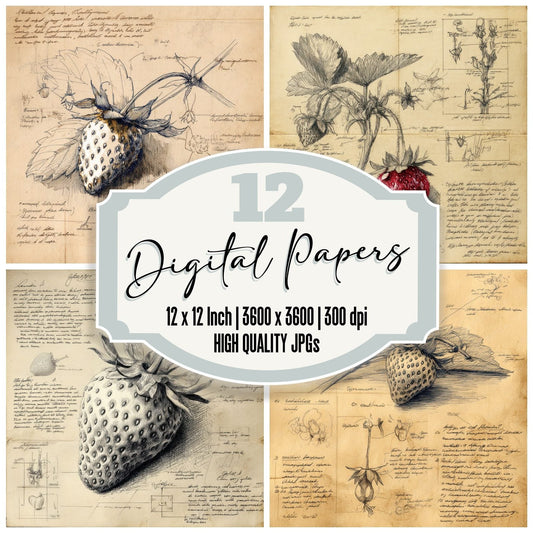 Sketch Strawberry Seeded Surface Digital Paper Pack (DDD003672)