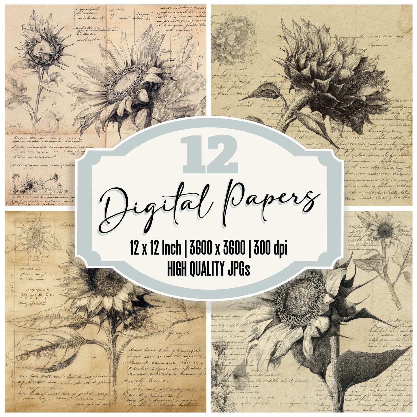 Sketch Sunflower Centre Plate Digital Paper Pack (DDD003675)