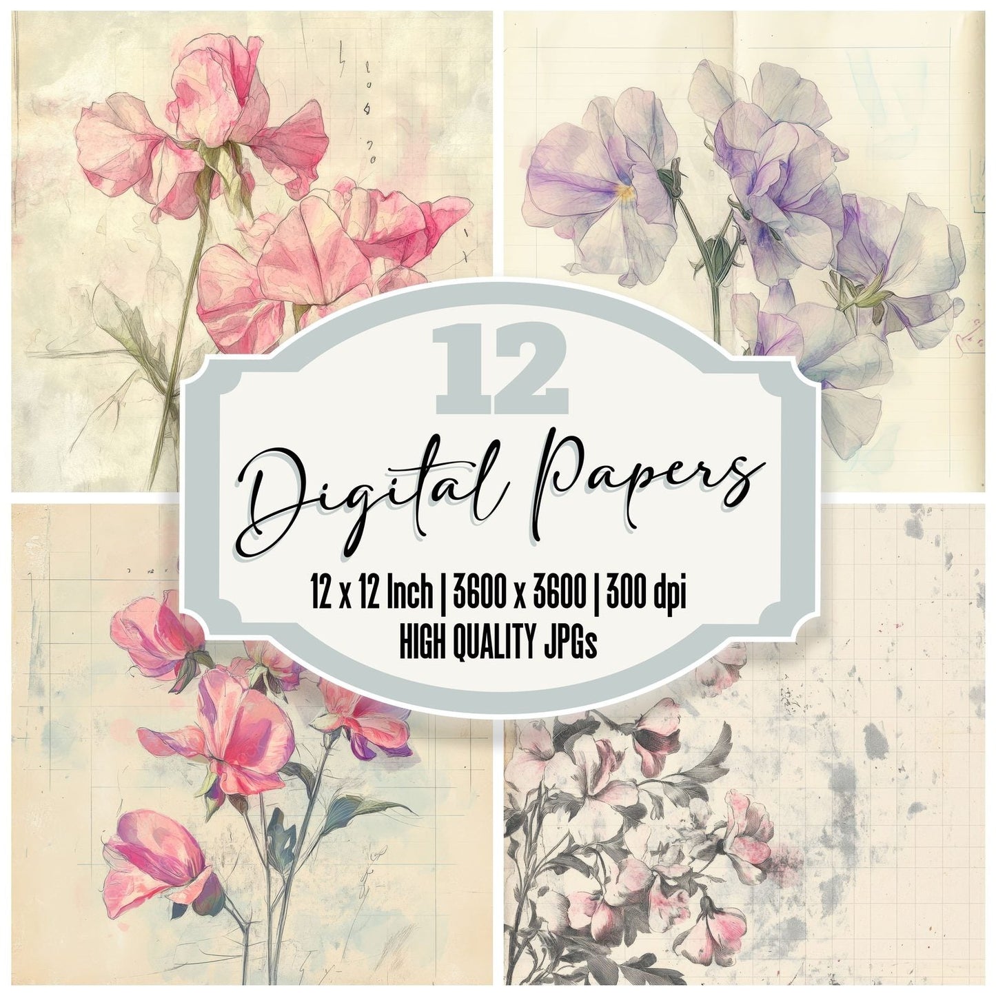Sketch Sweet Pea Notepad Digital Paper Pack (DDD003676)