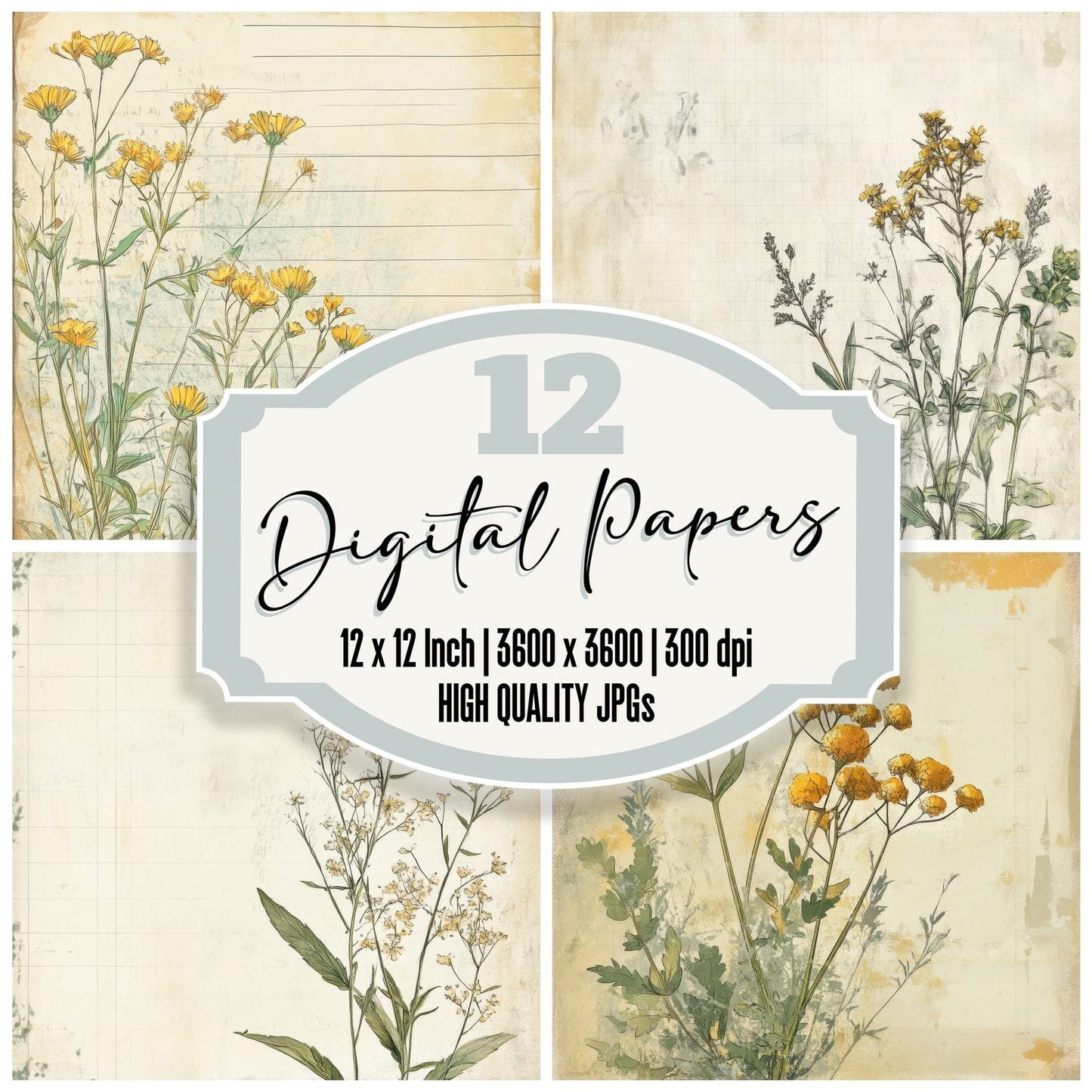 Sketch Tansy Notepad Digital Paper Pack (DDD003680)