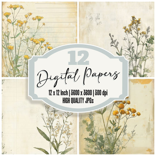Sketch Tansy Notepad Digital Paper Pack (DDD003680)