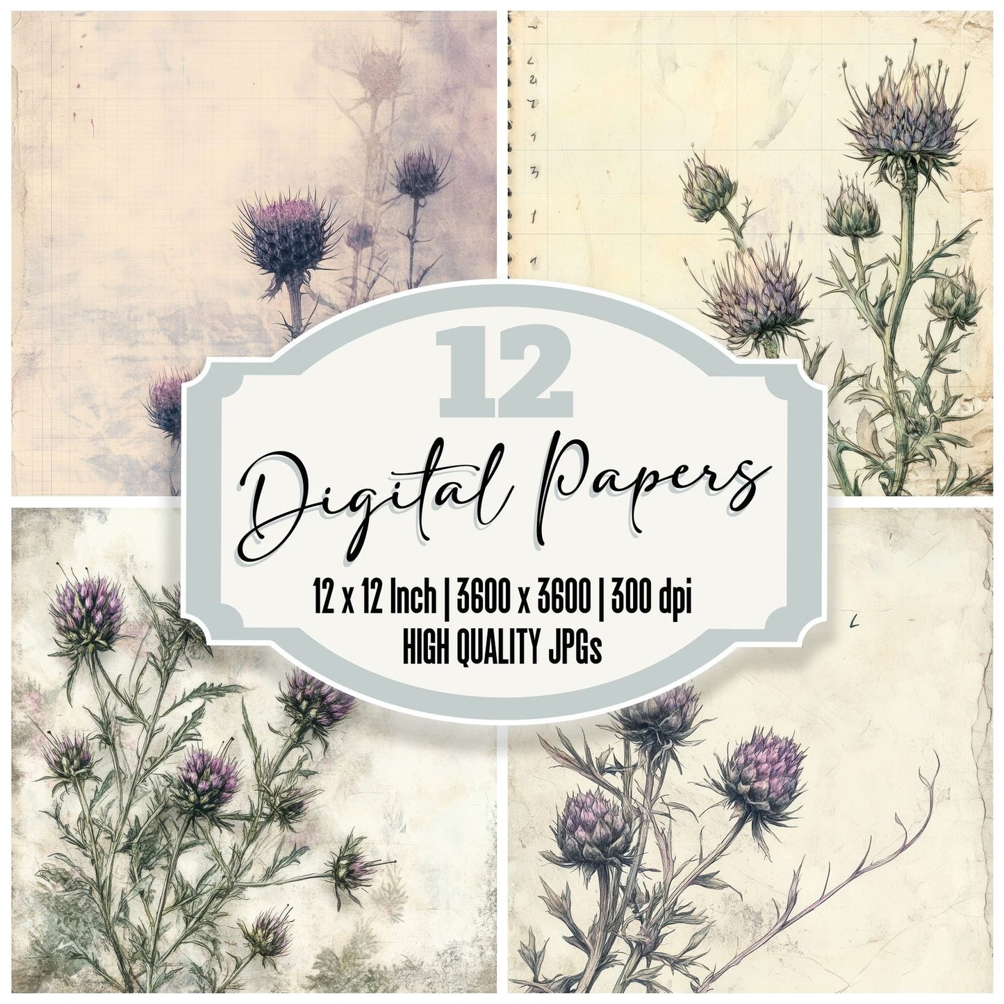Sketch Thistle Notepad Digital Paper Pack (DDD003684)