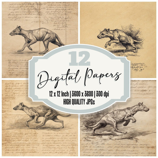 Sketch Thylacine Stride Sheet Digital Paper Pack (DDD003685)