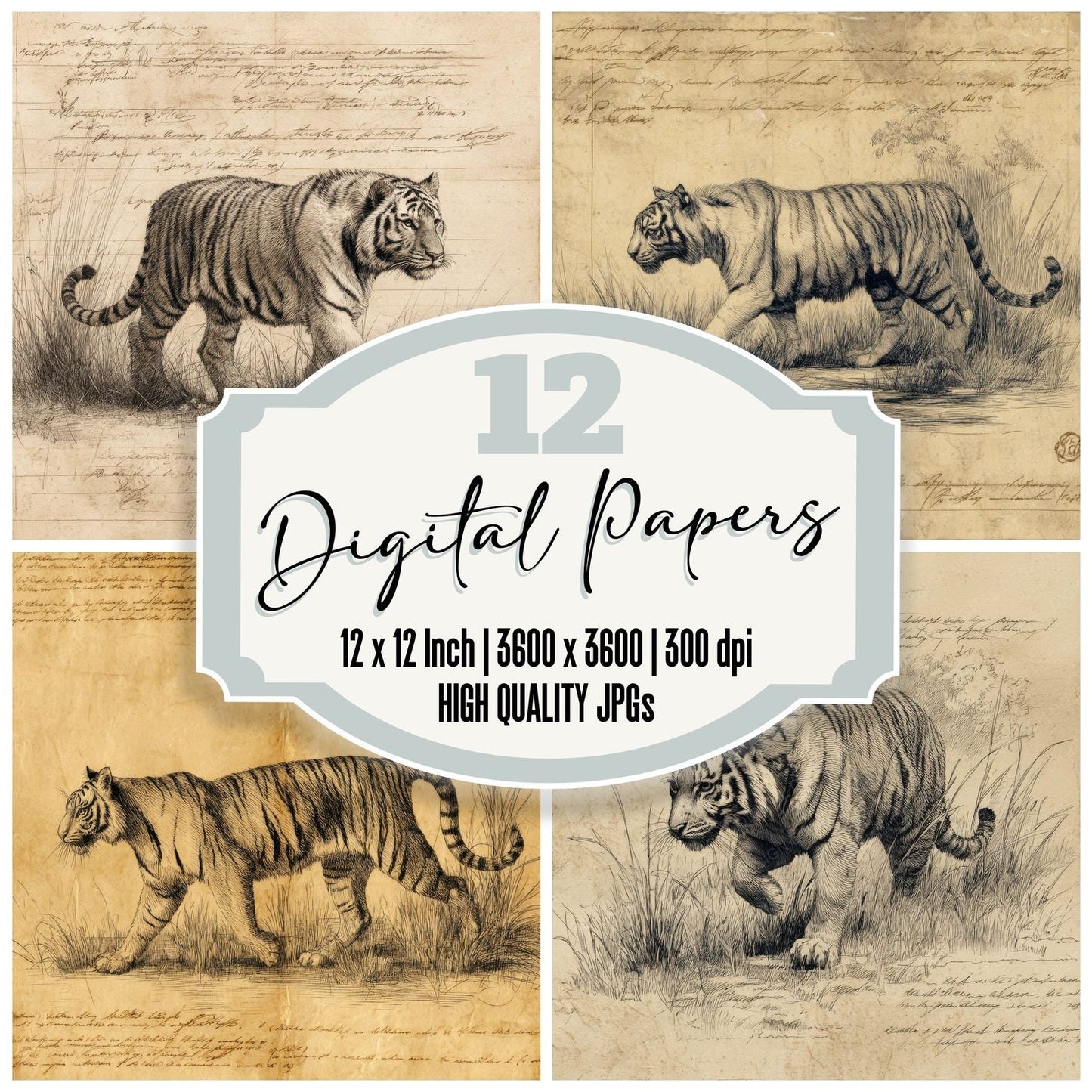 Sketch Tiger Grassland Sheet Digital Paper Pack (DDD003686)