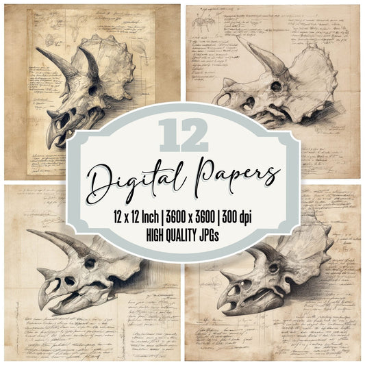 Sketch Triceratops Skull Plate Digital Paper Pack (DDD003689)