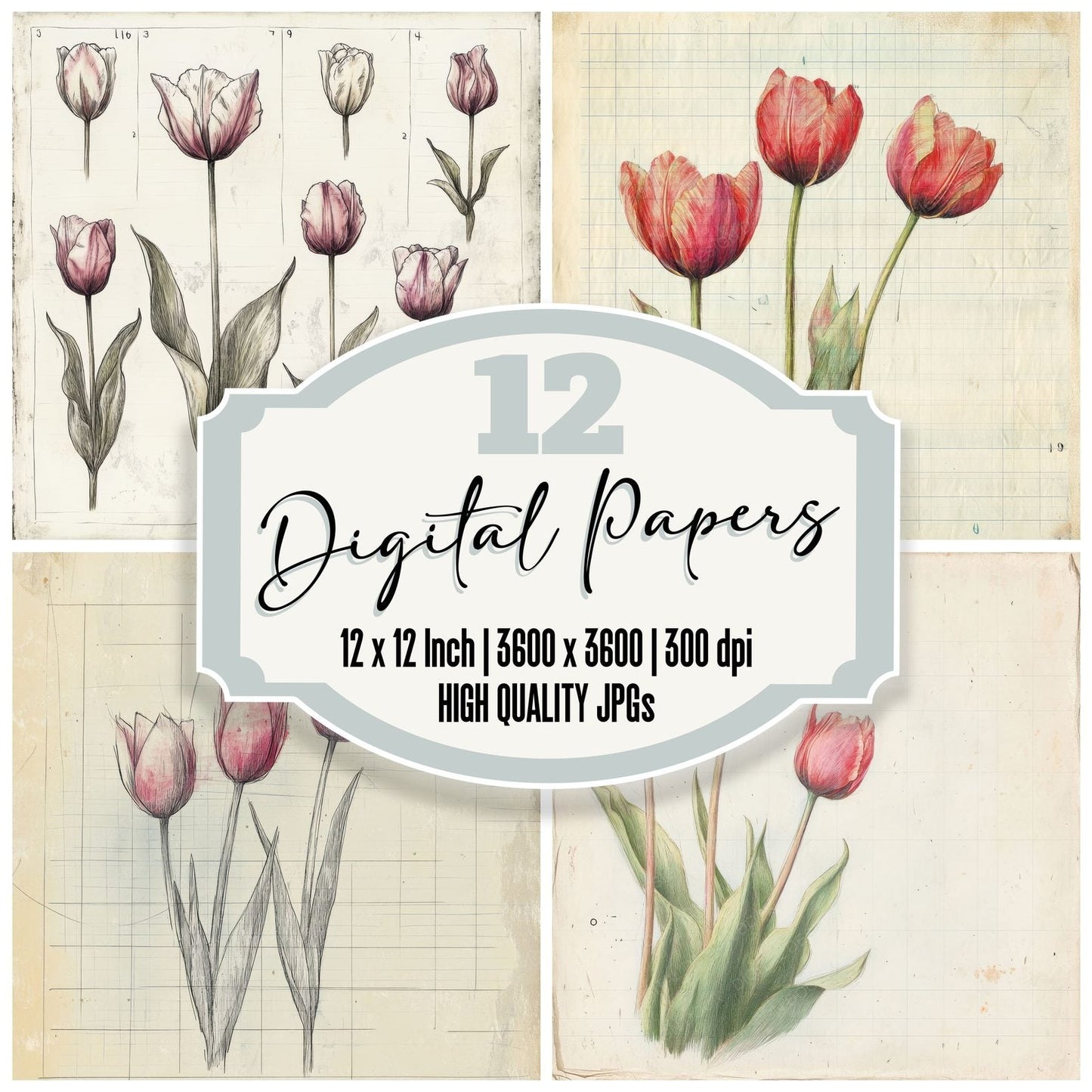 Sketch Tulip Colour Digital Paper Pack (DDD003691)