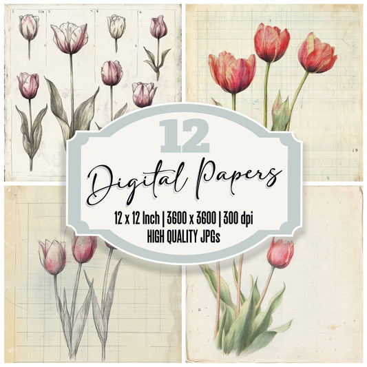 Sketch Tulip Colour Digital Paper Pack (DDD003691)