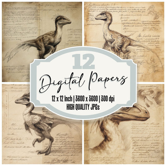 Sketch Velociraptor Feather Chart Digital Paper Pack (DDD003693)