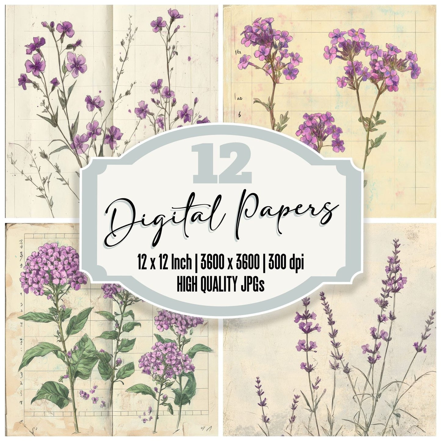 Sketch Verbena Notepad Digital Paper Pack (DDD003694)