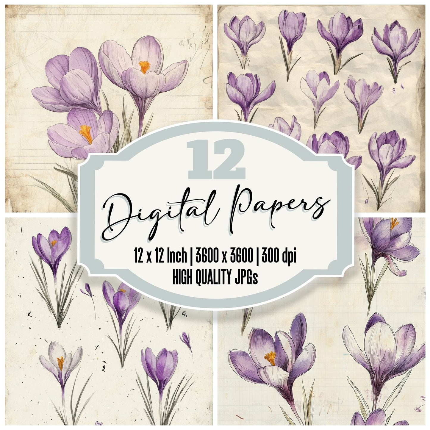 Sketch Violet Crocus Notepad Digital Paper Pack (DDD003699)