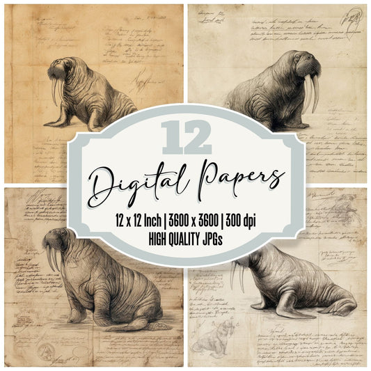 Sketch Walrus Arctic Sheet Digital Paper Pack (DDD003702)