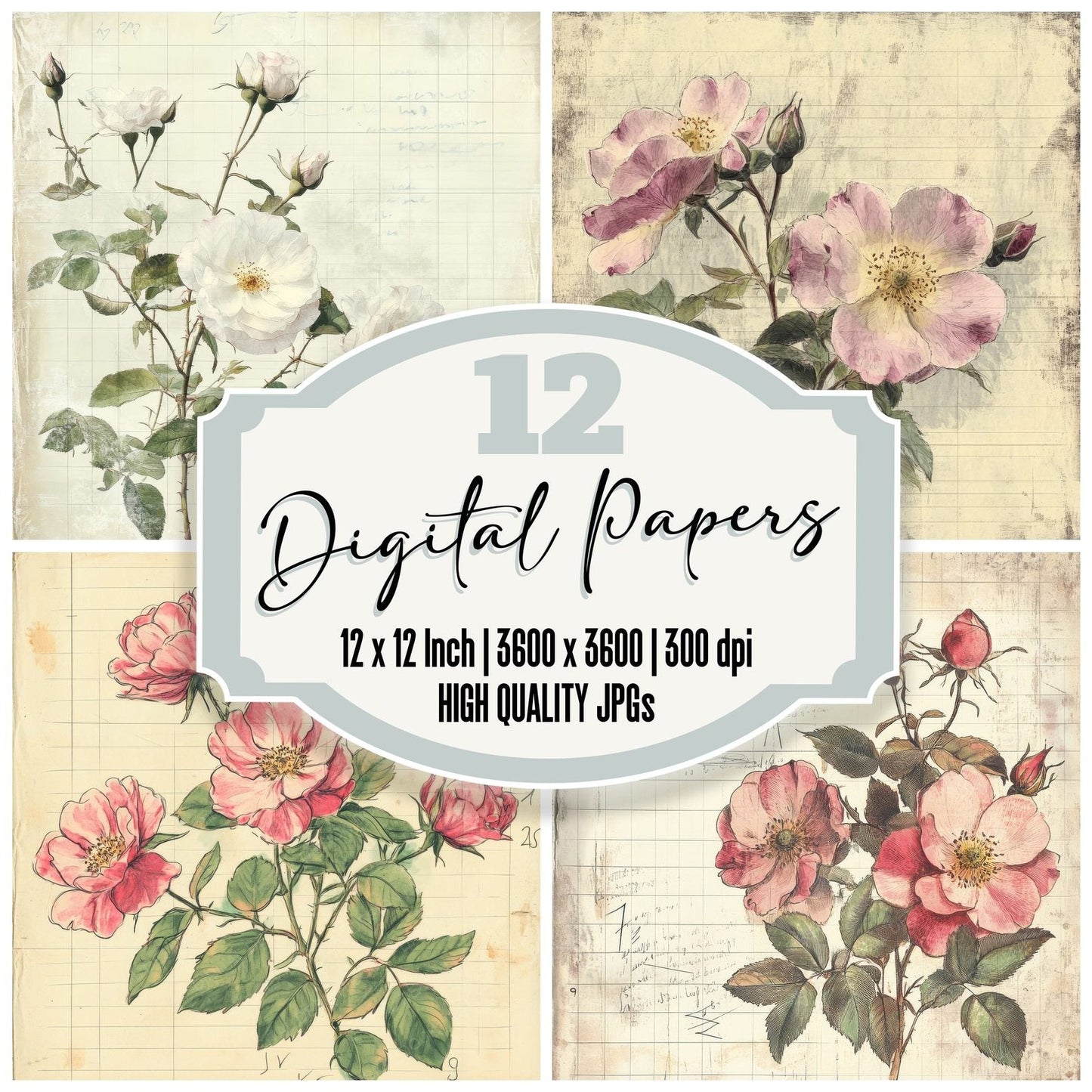 Sketch Wild Rose Notepad Digital Paper Pack (DDD003705)