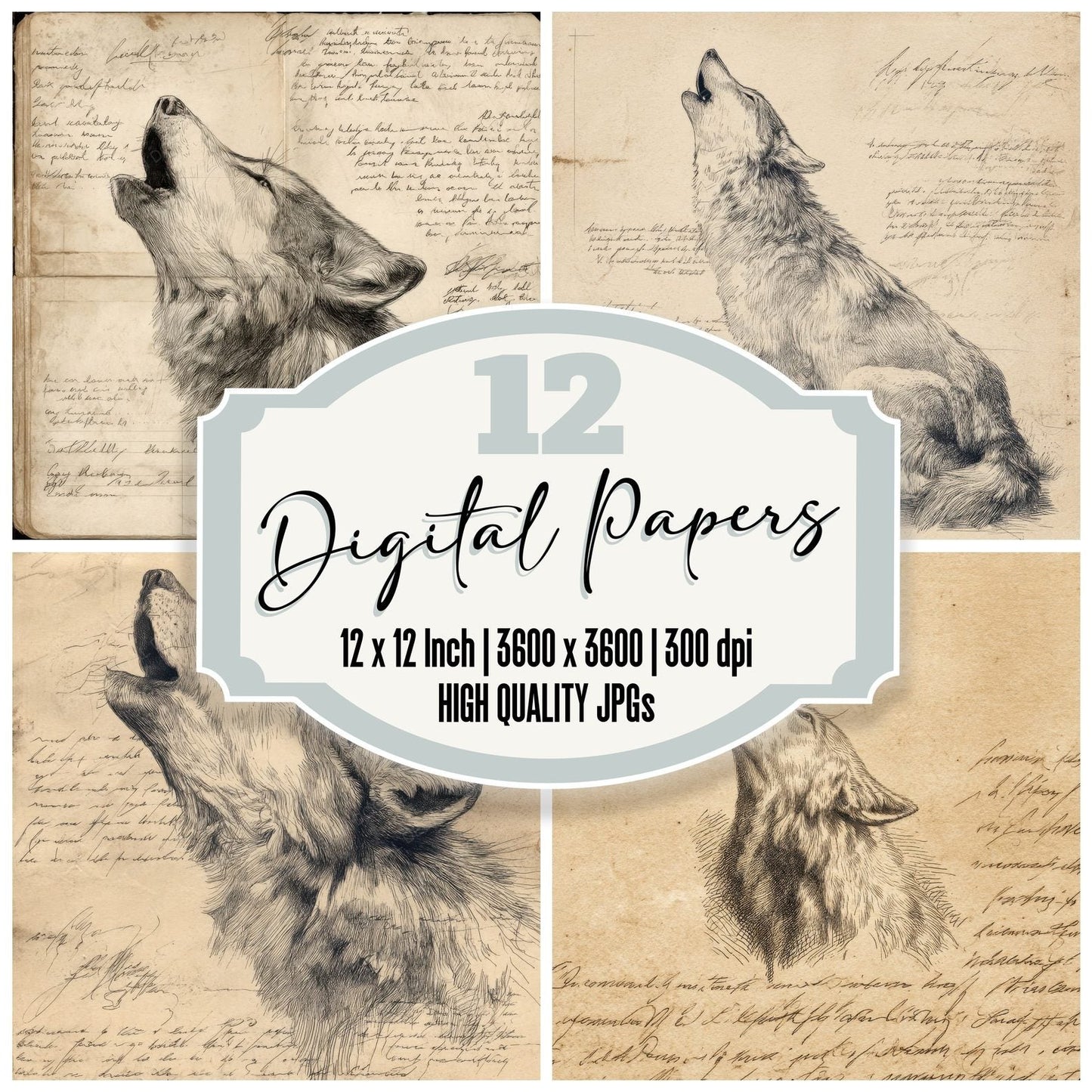 Sketch Wolf Field Profile Digital Paper Pack (DDD003708)