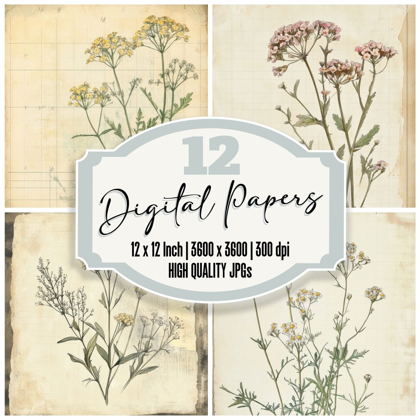 Sketch Yarrow Notepad Digital Paper Pack (DDD003709)