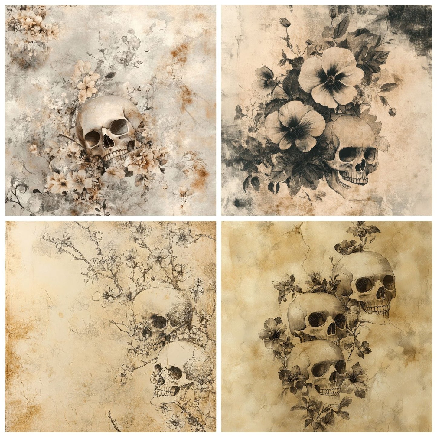 Skull Bloom Fade Digital Paper Pack (DDD003712)