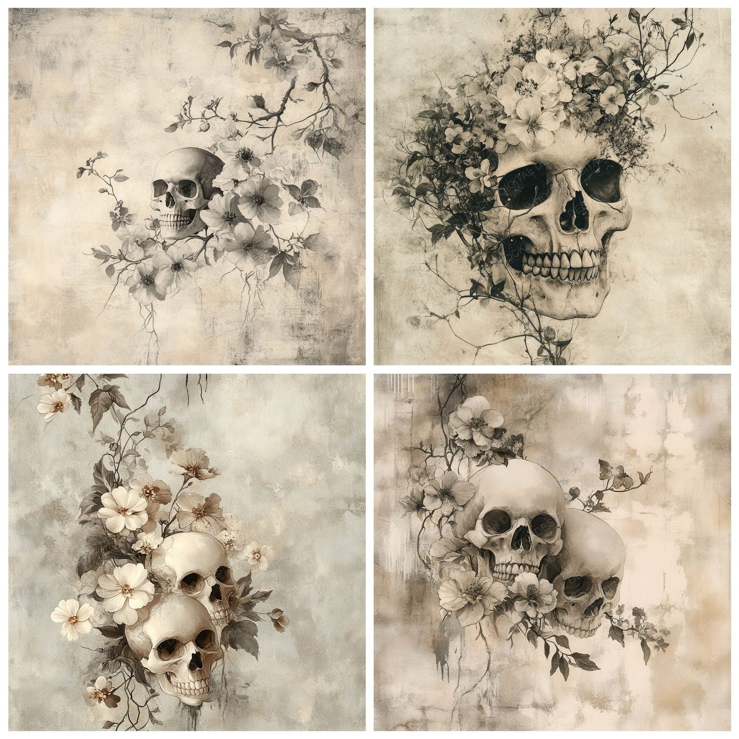 Skull Bloom Fade Digital Paper Pack (DDD003712)