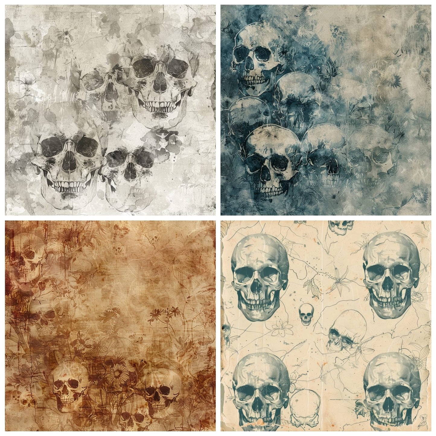 Skulls Digital Paper Pack (DDD003713)