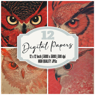 Stamped Owl Corner Digital Paper Pack (DDD003837)