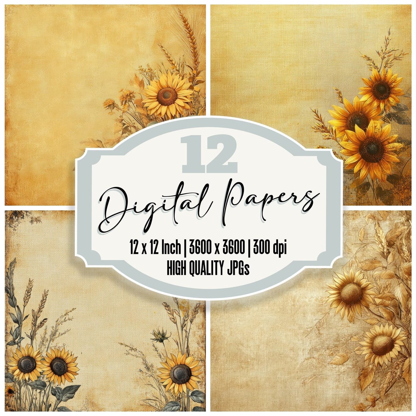 Summer Wheat Sunbeam Digital Paper Pack (DDD003891)