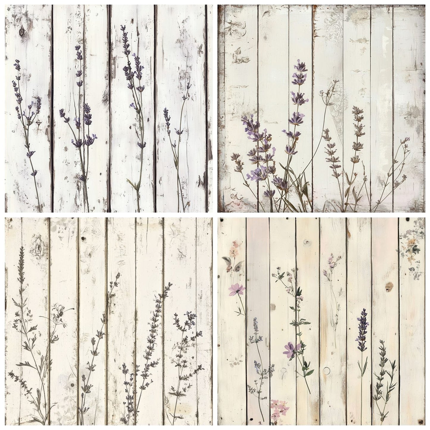 Sunbleached Botanica Panel Digital Paper Pack (DDD003895)