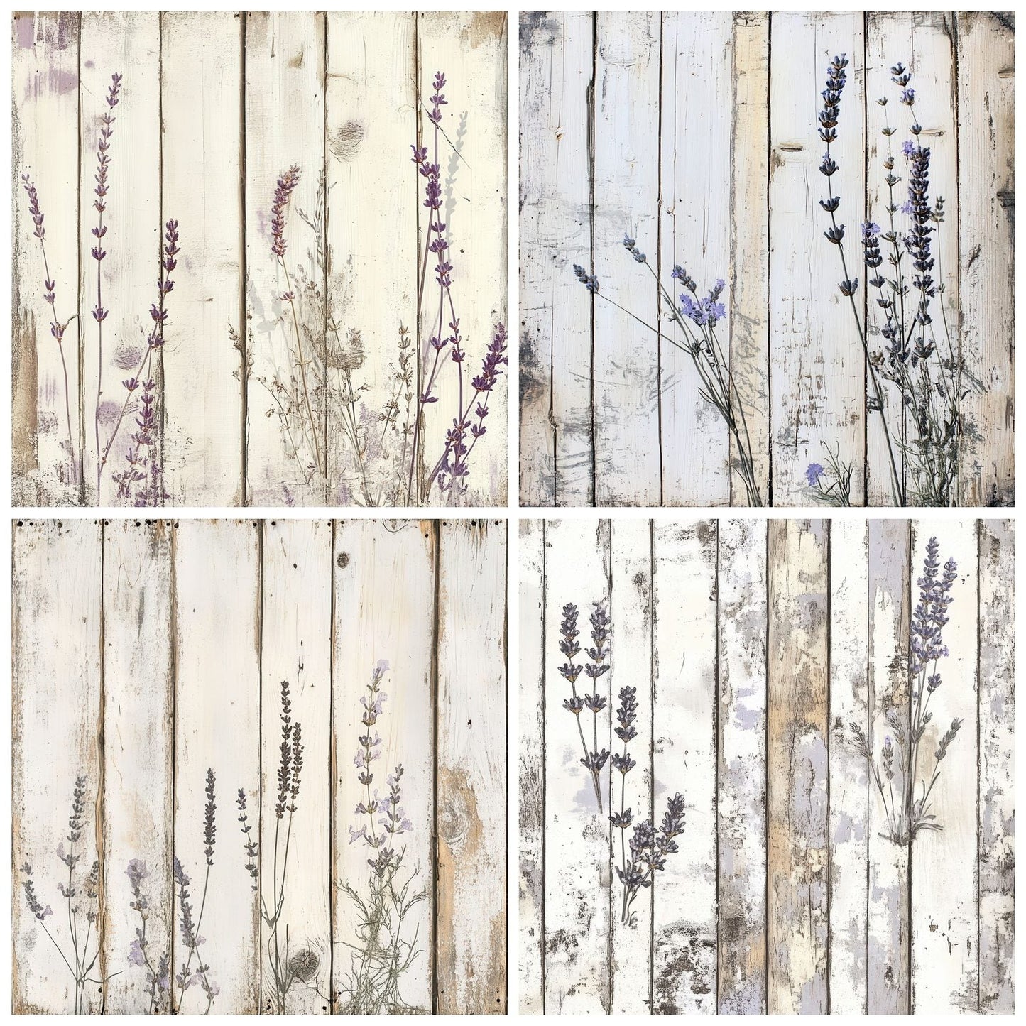 Sunbleached Botanica Panel Digital Paper Pack (DDD003895)