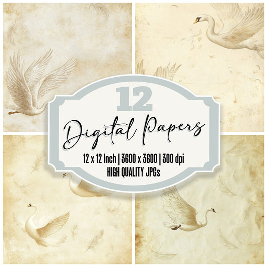 Swan Wing Sketch Digital Paper Pack (DDD003924)