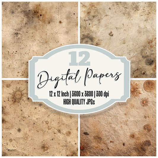 Tan Fossil Charcoal Glyphs Digital Paper Pack (DDD003938)