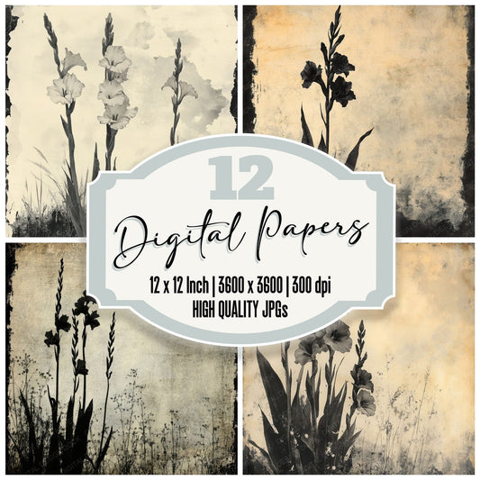 Tenebrous Gladiolus Field Digital Paper Pack (DDD003974)
